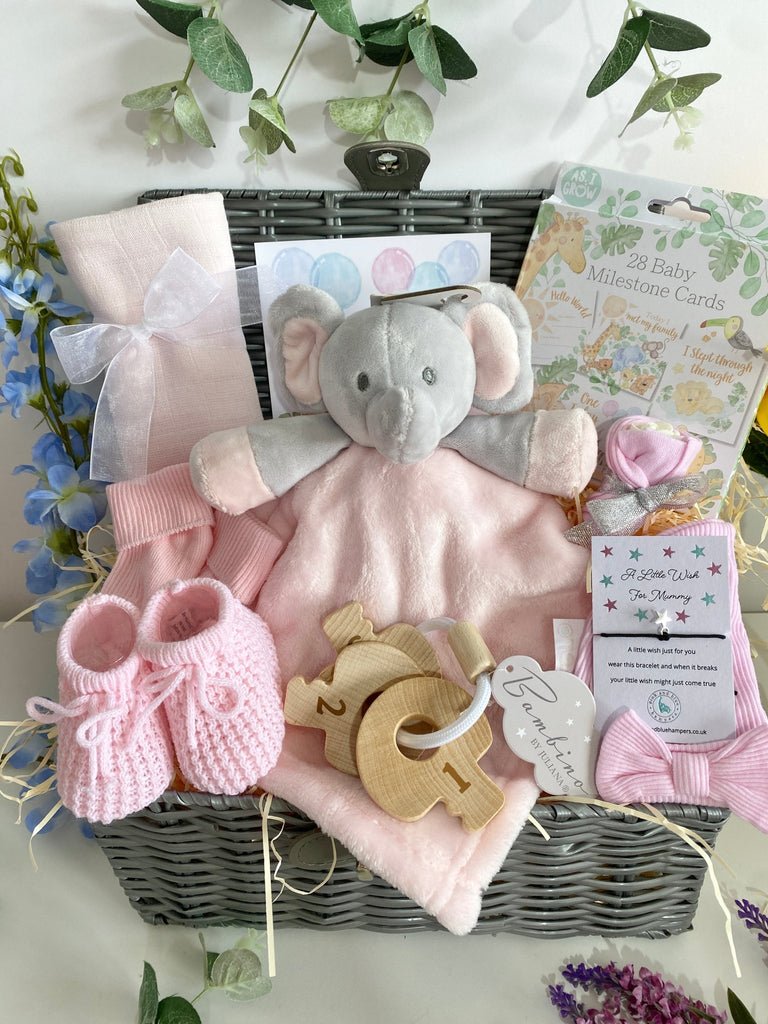 Mum To Be Baby Hamper - Count With Me - Pink and Blue Hampers