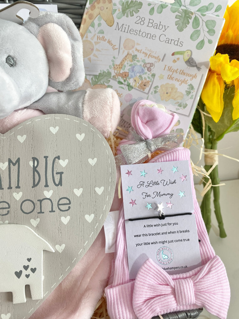 Mum To Be Hamper Basket - Dream Big Baby Girl - Pink and Blue Hampers