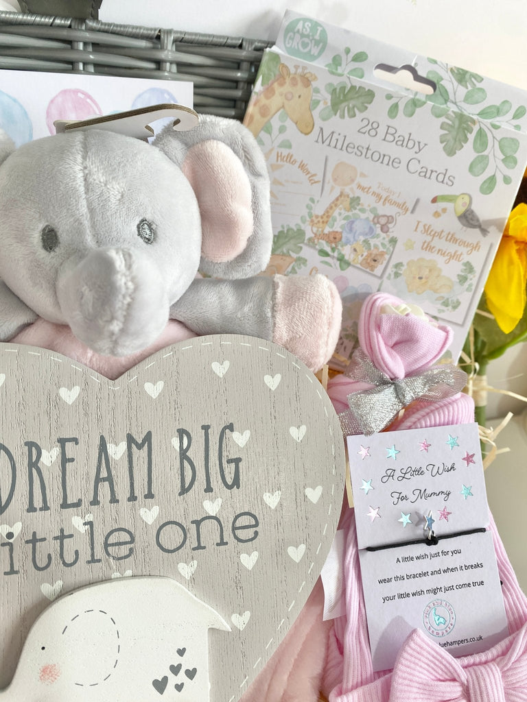 Mum To Be Hamper Basket - Dream Big Baby Girl - Pink and Blue Hampers