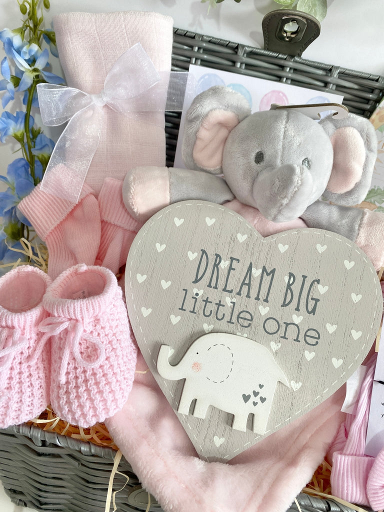 Mum To Be Hamper Basket - Dream Big Baby Girl - Pink and Blue Hampers