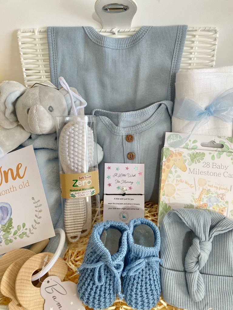 New Baby Boy Hamper Basket - Jungle Elephant Friends - Pink and Blue Hampers