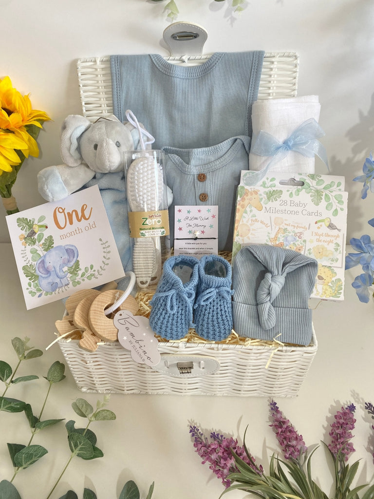 New Baby Boy Hamper Basket - Jungle Elephant Friends - Pink and Blue Hampers