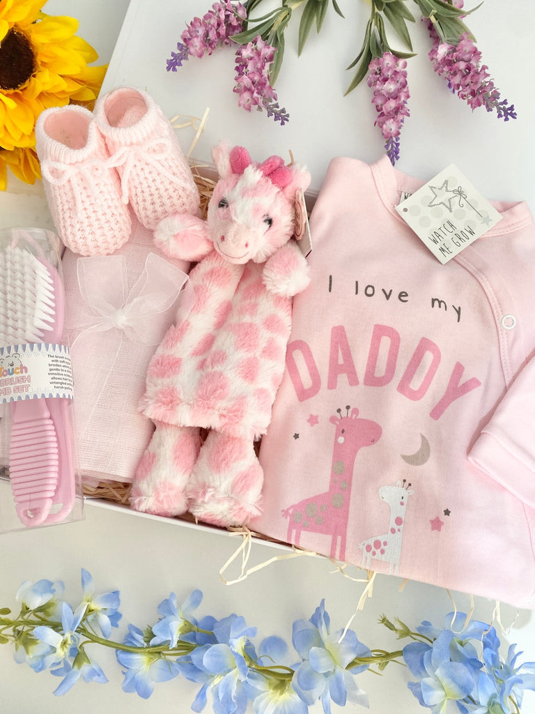 New Dad Baby Gift - Cuddly Pink Giraffe - Pink and Blue Hampers