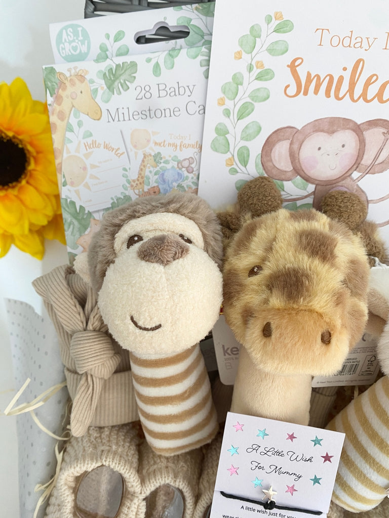 New Mum Triplet Baby Hamper - Adorable Animal Friends - Pink and Blue Hampers