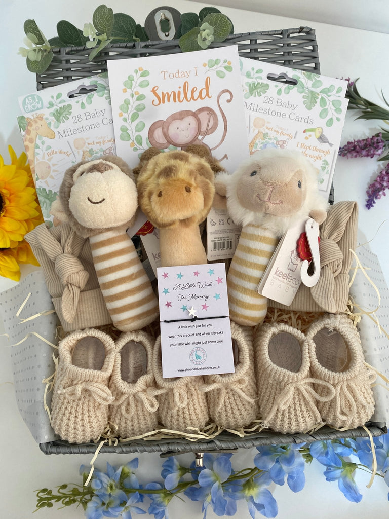 New Mum Triplet Baby Hamper - Adorable Animal Friends - Pink and Blue Hampers