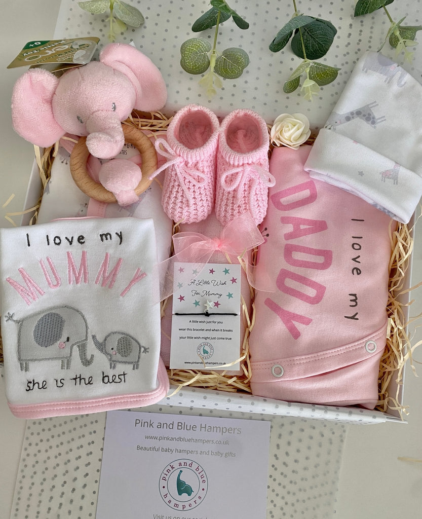 New Mummy & Daddy Baby Girl Gift - Sweetness Overload - Pink and Blue Hampers