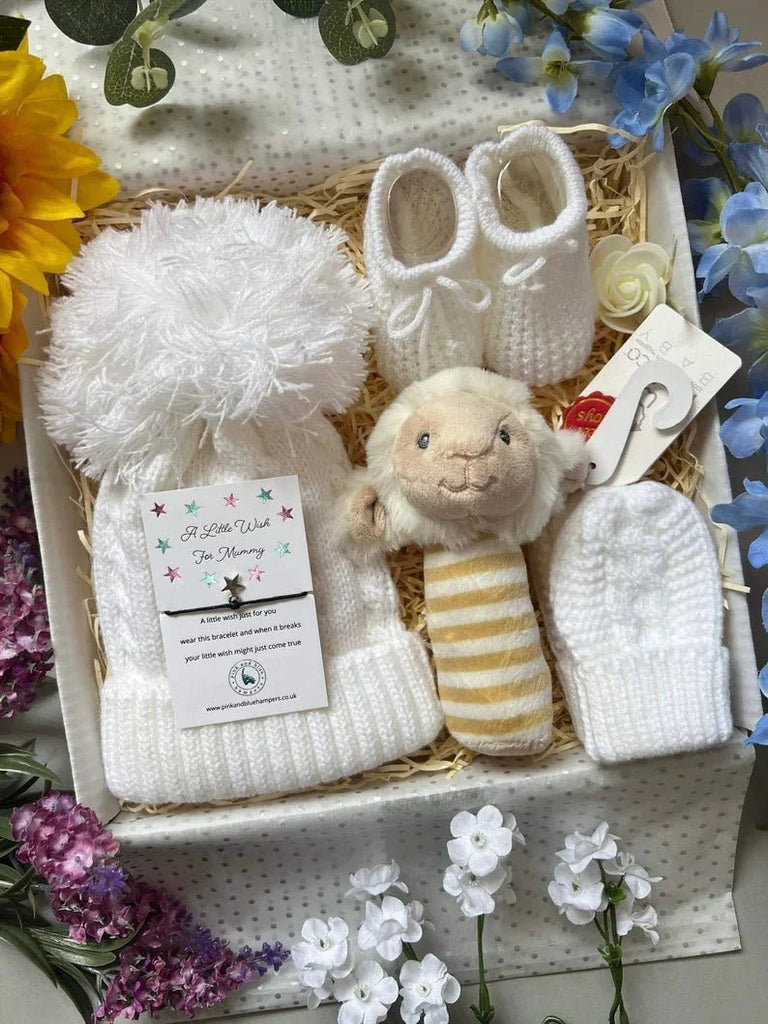 Super Cute Unisex Baby Gift Set, Sweet Baby Gift - Pink and Blue Hampers