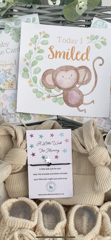 Twin Baby Gift Hamper - Sweet Cheeky Monkeys - Pink and Blue Hampers