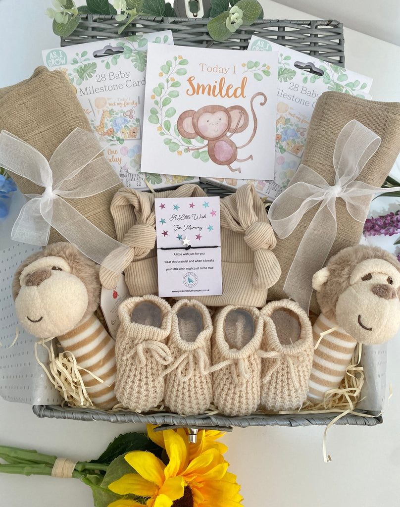 Twin Baby Gift Hamper - Sweet Cheeky Monkeys - Pink and Blue Hampers