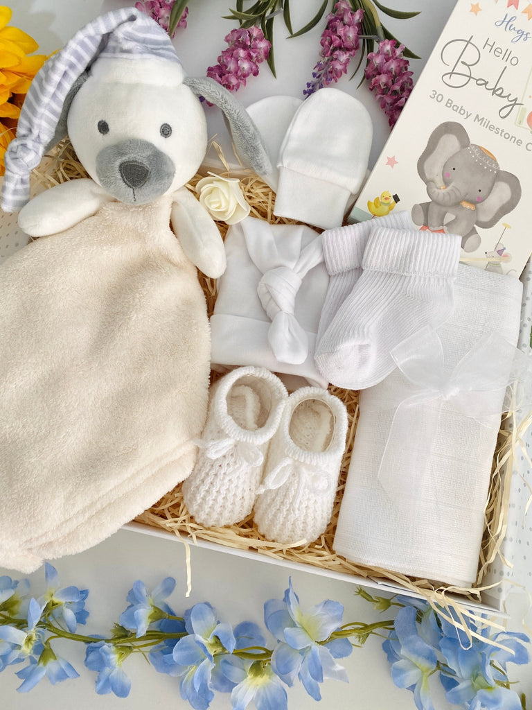 Unisex Baby Gift Hamper - Sleepy Puppy - Pink and Blue Hampers