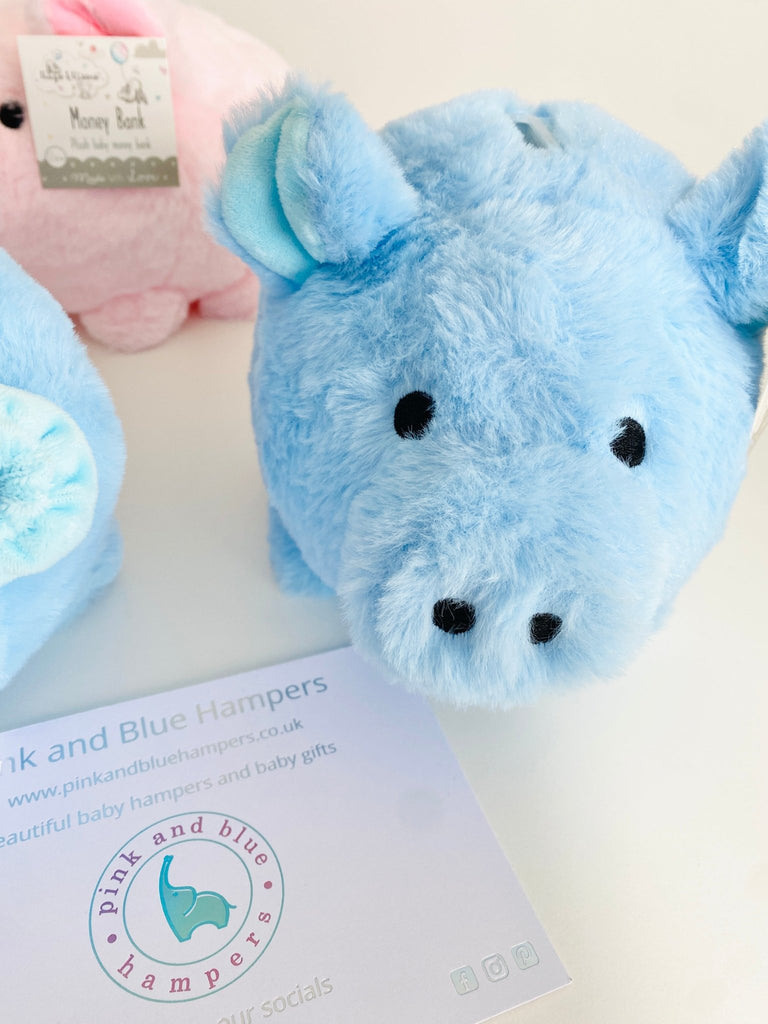 Adorable My First Piggy Bank Soft Toy, Blue Or Pink - Pink and Blue Hampers