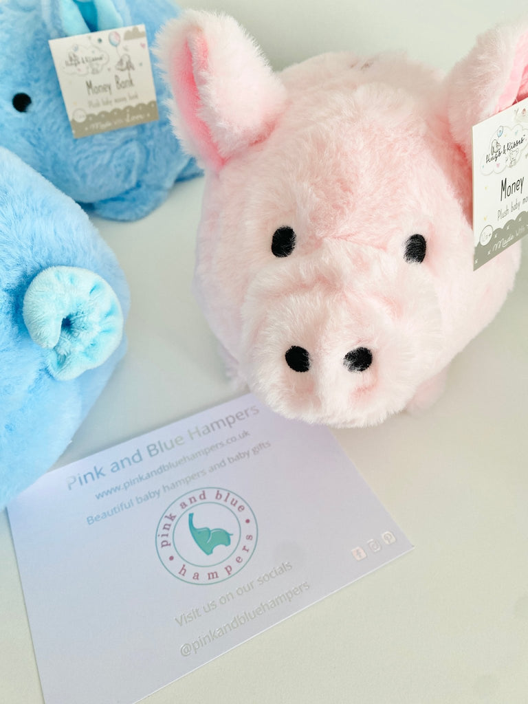 Adorable My First Piggy Bank Soft Toy, Blue Or Pink - Pink and Blue Hampers