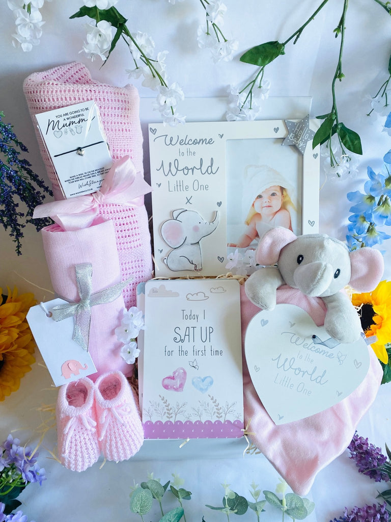 Beautiful Elephant Themed Baby Girl Hamper - Pink and Blue Hampers