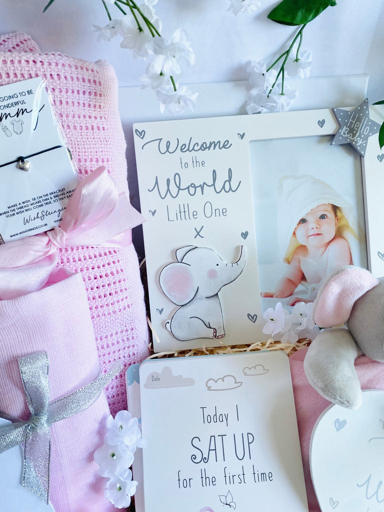 Beautiful Elephant Themed Baby Girl Hamper - Pink and Blue Hampers