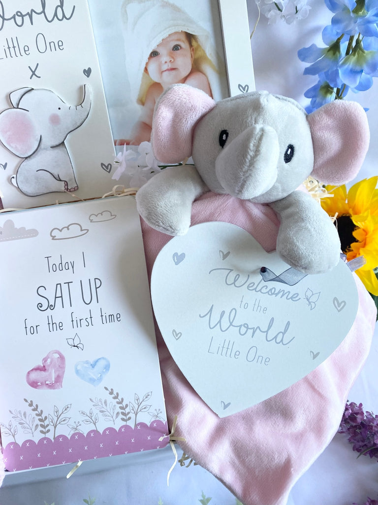 Beautiful Elephant Themed Baby Girl Hamper - Pink and Blue Hampers