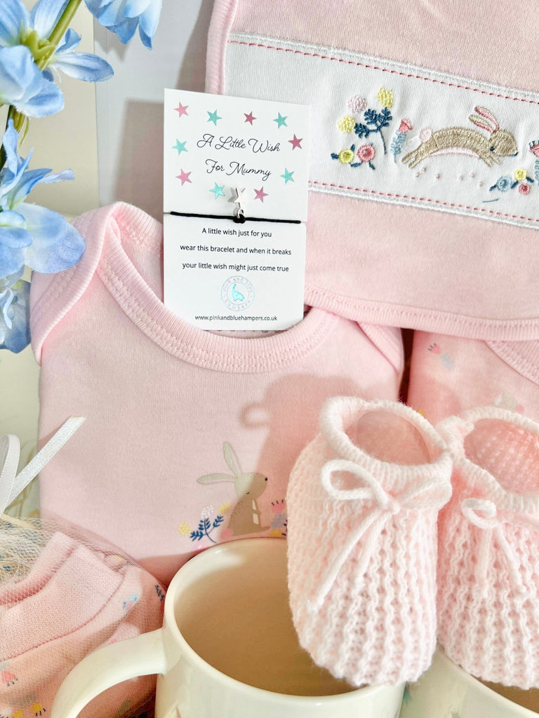 Beautiful Hopping Bunny Baby Girl Gift Set, New Parents Gift - Pink and Blue Hampers