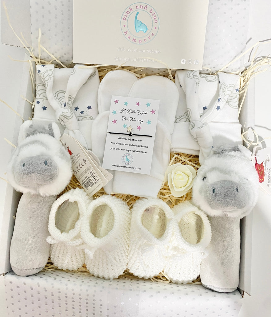 Beautiful Unisex Twin Baby Gift Set, Twin Gift Box - Pink and Blue Hampers