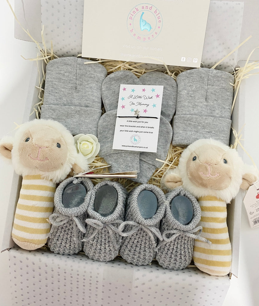 Stunning Twin Unisex Baby Gift Set, Twin Gift Set - Pink and Blue Hampers