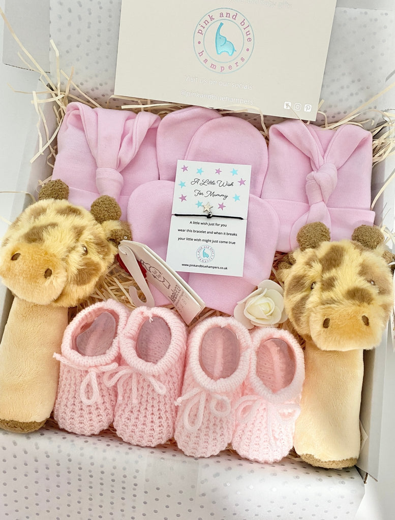 Sweet Twin Baby Girls Gift Set, Twin Gift Set - Pink and Blue Hampers