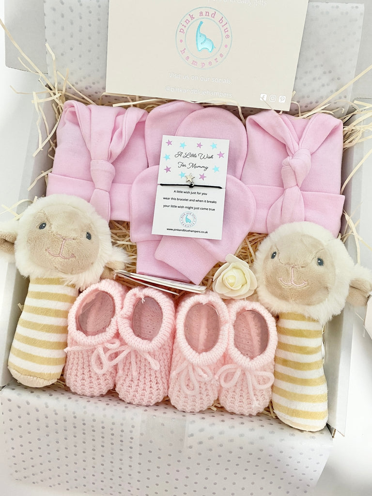 Sweet Twin Baby Girls Gift Set, Twin Gift Set - Pink and Blue Hampers